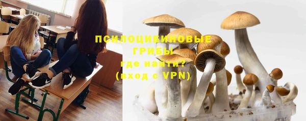 тгк Бородино