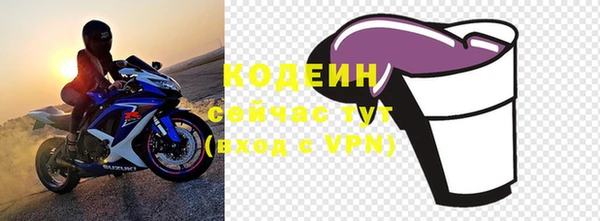 тгк Бородино
