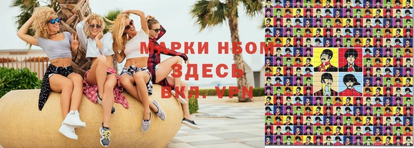 тгк Бородино