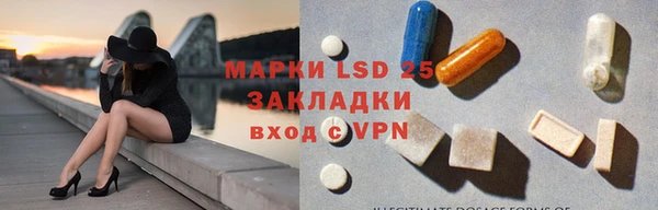 тгк Бородино
