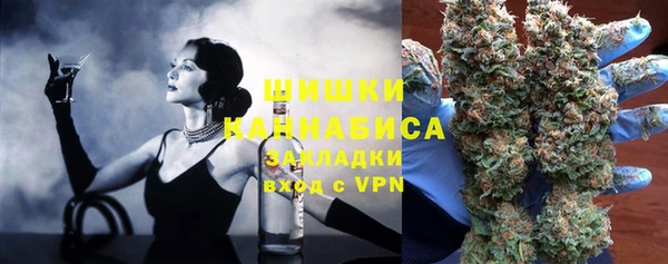 тгк Бородино