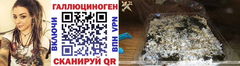 Псилоцибиновые грибы прущие грибы Сосногорск